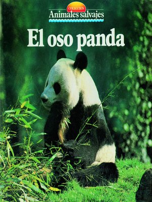 cover image of El oso panda